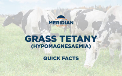 Grass Tetany: Quick Facts